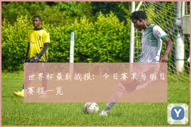 世界杯最新战报：今日赛果与明日赛程一览