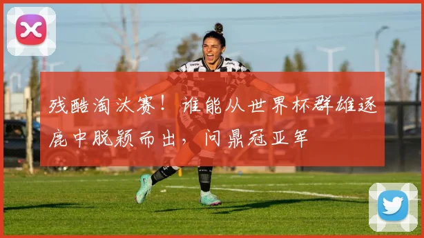 残酷淘汰赛！谁能从世界杯群雄逐鹿中脱颖而出，问鼎冠亚军