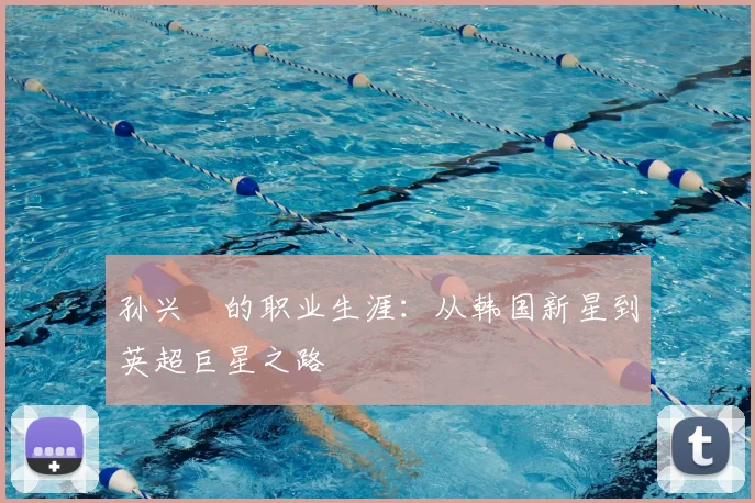 孙兴慜的职业生涯:从韩国新星到英超巨星之路