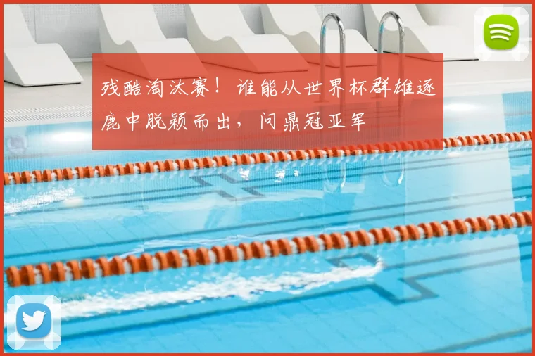 残酷淘汰赛！谁能从世界杯群雄逐鹿中脱颖而出，问鼎冠亚军