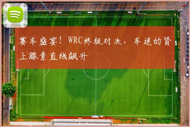 赛车盛宴！WRC终极对决，车迷的肾上腺素直线飙升